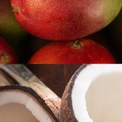 Barre à l'avoine Veloforte - Mangue, noix de coco