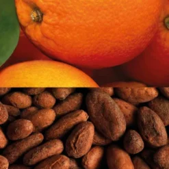 Barre à l'avoine Veloforte - Orange & cacao