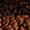 Barre énergétique Veloforte Mocha - Noisette, café, cacao