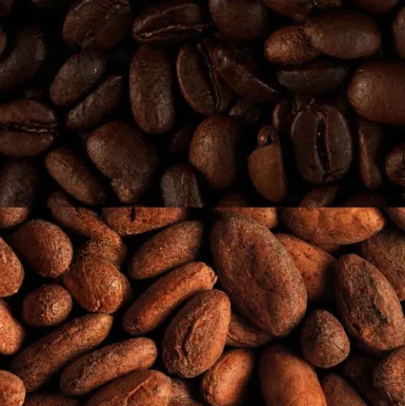 Barre énergétique Veloforte Mocha - Noisette, café, cacao
