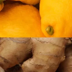 Barre énergétique Veloforte Zenzero - Citron, Gingembre et pistaches