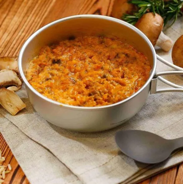 Boeuf Stroganoff avec riz - Grand format