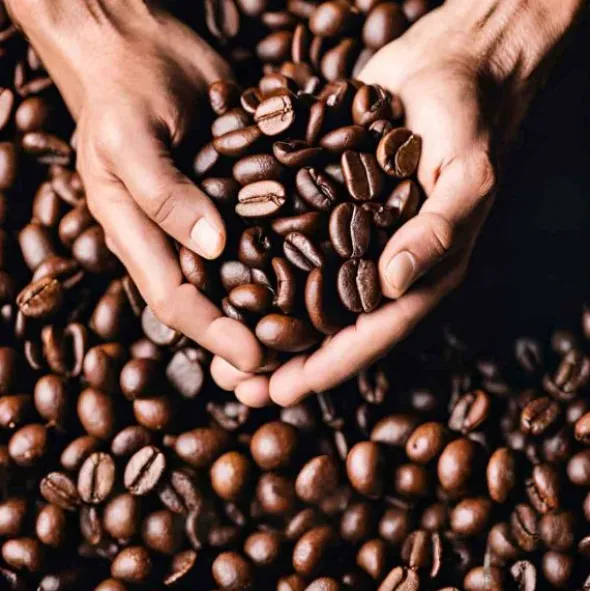 Gel énergétique Mulebar - Café cortado