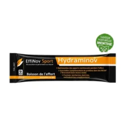Hydraminov - Boisson de l'effort - Saveur Menthe - 1 stick