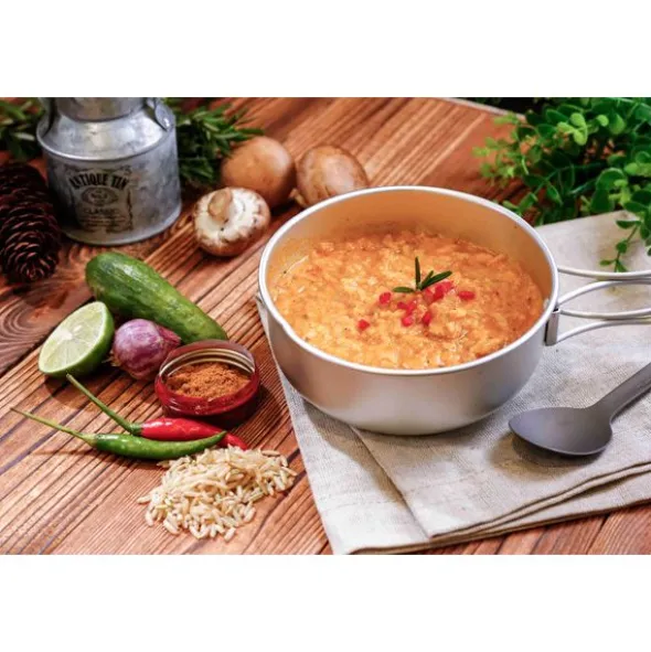 Poulet tikka au riz - Grand format