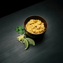 Poulet tikka masala et riz - Grand format