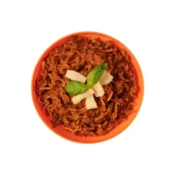 Spaghetti bolognaise - Grand format